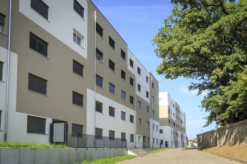 Appartement de 3.5 pièces au rez-de-chaussée à la Tour-de-Trême ! (3)