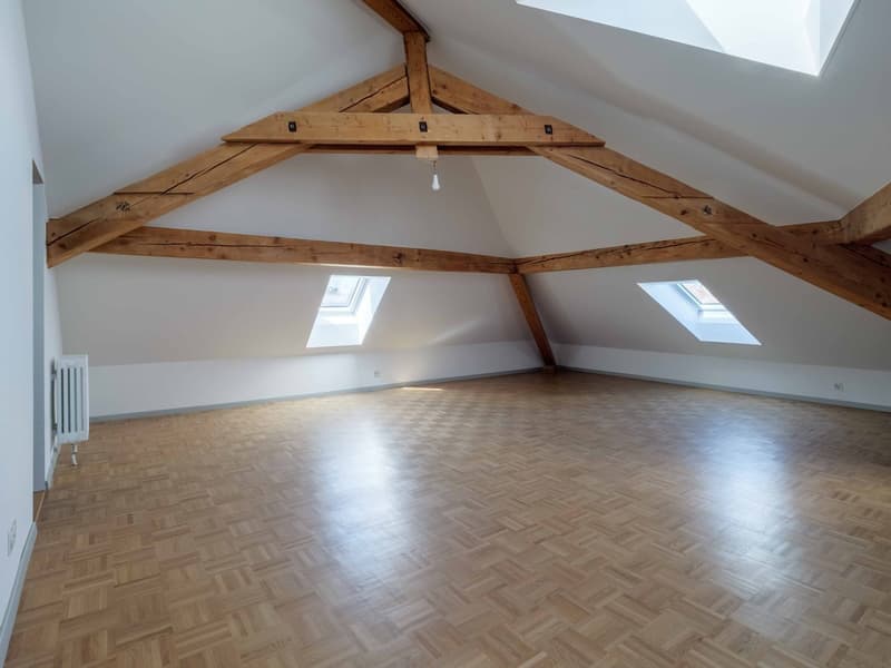 Appartement 4.5 pièces rénové idéal pour une colocation (6)