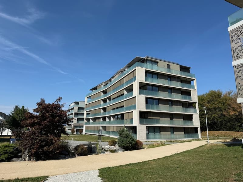 Appartement attique de 4.5 pièces avec terrasse à Bulle (2)