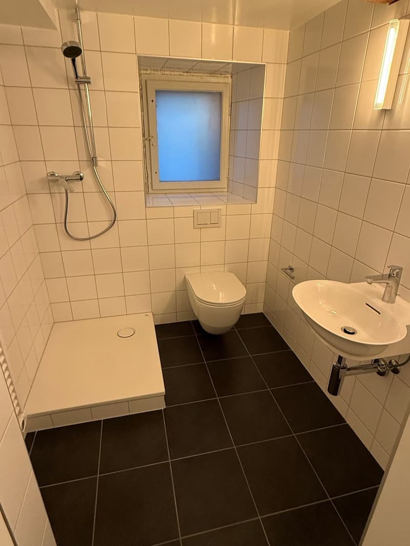 Appartement 2.5 pièces rénové en vieille ville de Fribourg (7)