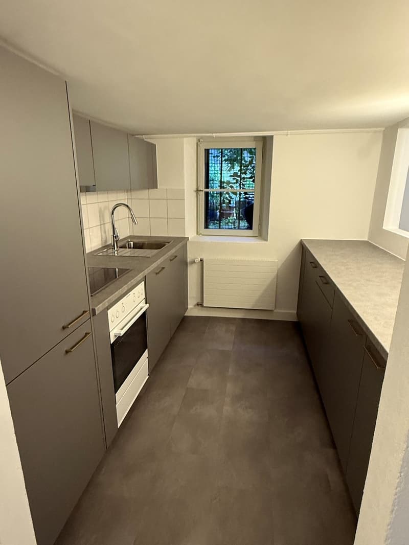 Appartement 2.5 pièces rénové en vieille ville de Fribourg (4)