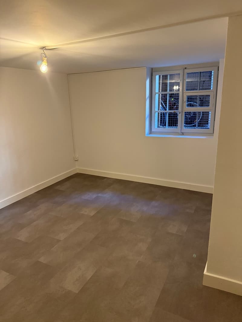 Appartement 2.5 pièces rénové en vieille ville de Fribourg (6)