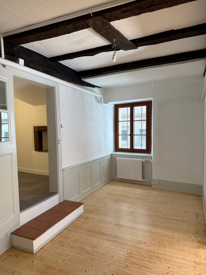 Appartement 2.5 pièces rénové en vieille ville de Fribourg (6)