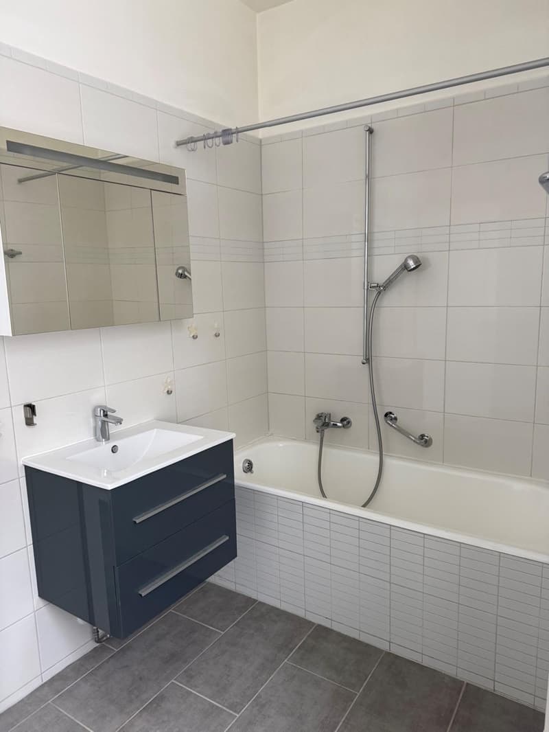 Appartamento di 3,5 locali in affitto, con giardino comune (5)