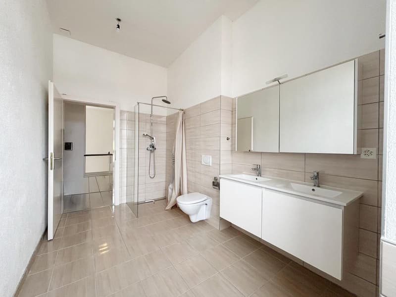 Appartement de 4 pièces, dans un quartier paisible et une vue imprenable (7)