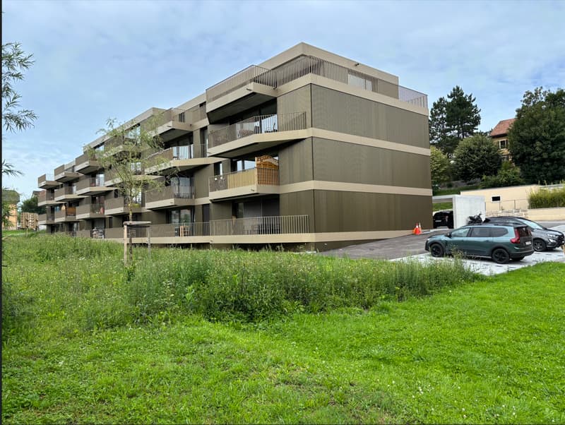 Places de parc extérieures à louer (2)