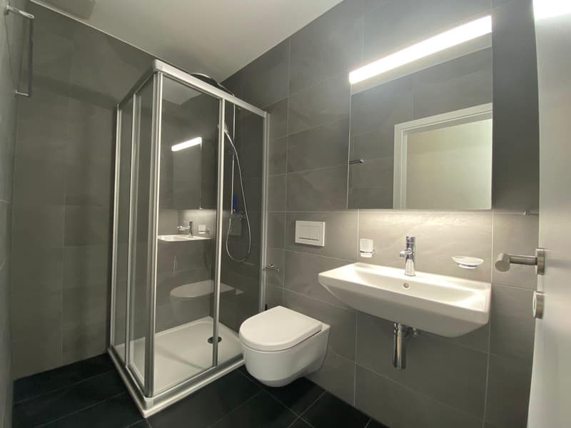 Superb 5.5-room attic apartment (11)