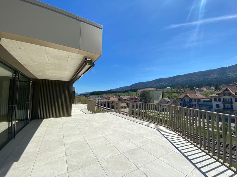 Superb 5.5-room attic apartment (2)