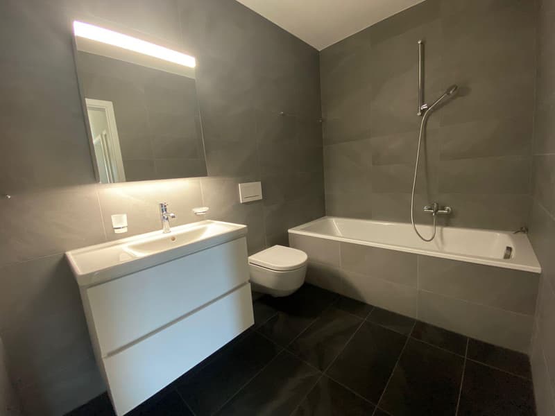 Superb 5.5-room attic apartment (10)