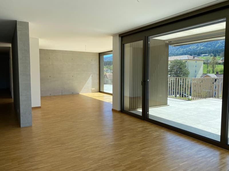 Superb 5.5-room attic apartment (5)