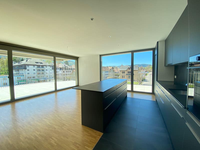 Superb 5.5-room attic apartment (4)