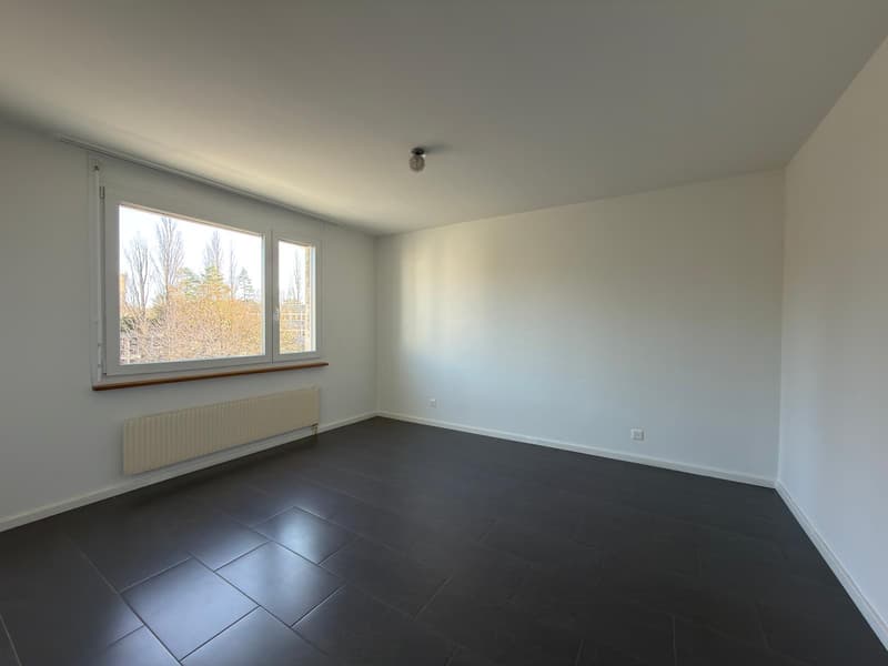 Renovated 3.5-room apartment in Biel (5)