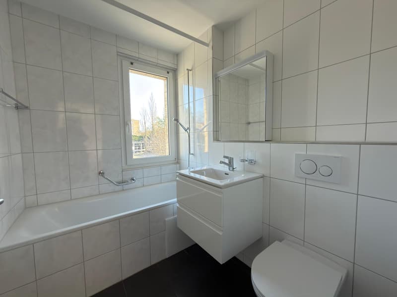 Renovated 3.5-room apartment in Biel (7)