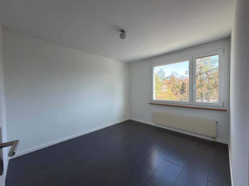 Renovated 3.5-room apartment in Biel (6)