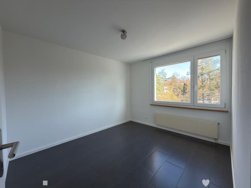 Wohnung renoviert mit 3.5 Zimmern in Biel (6)