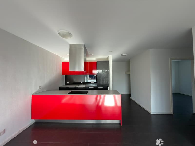 Wohnung renoviert mit 3.5 Zimmern in Biel (3)