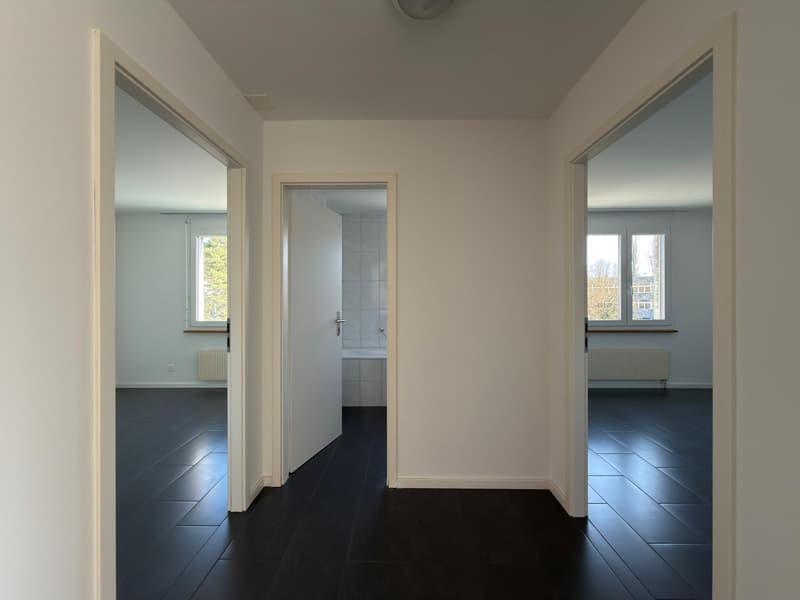 Renovated 3.5-room apartment in Biel (4)