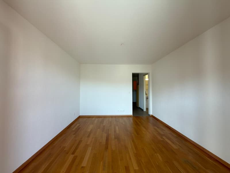 Appartement de 2 pièces dans le quartier de mâches (4)