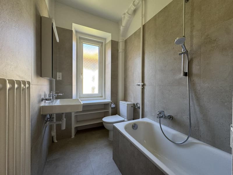 Bell'appartamento di 4.5 locali ristrutturato con parquet a forma di losanga ? 1° affitto offerto (7)