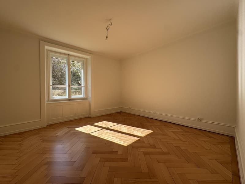 Bell'appartamento di 4.5 locali ristrutturato con parquet a forma di losanga ? 1° affitto offerto (4)