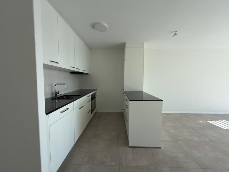 Beautiful 3-room renovated apartment (4)