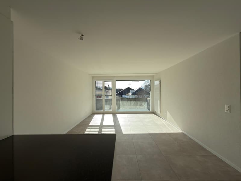 Beautiful 3-room renovated apartment (2)
