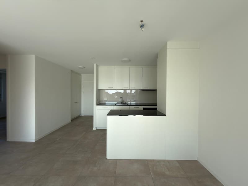 Beautiful 3-room renovated apartment (3)