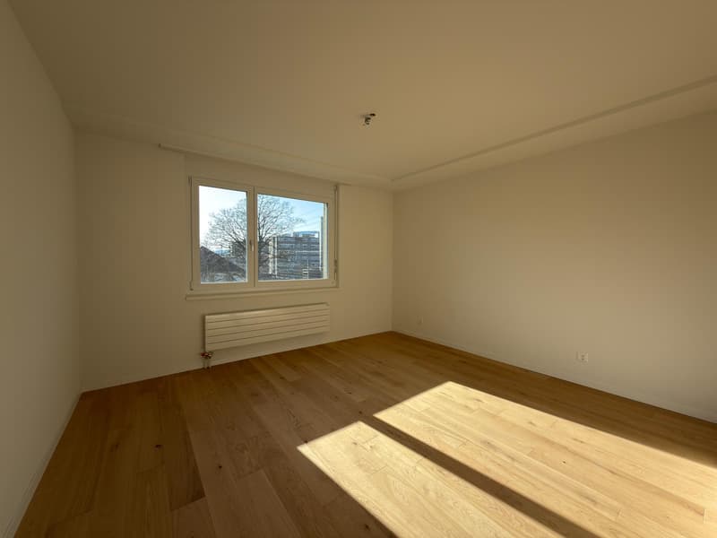 Beautiful 3-room renovated apartment (6)