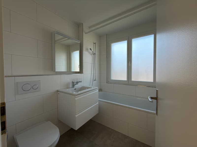 Beautiful 3-room renovated apartment (8)