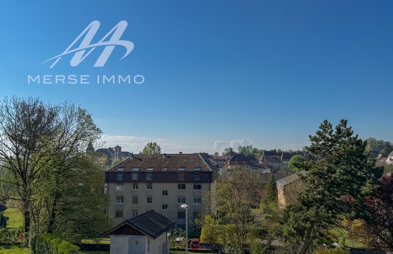 Helles Dachgeschoss mit großer Terrasse und freier Sicht (6)
