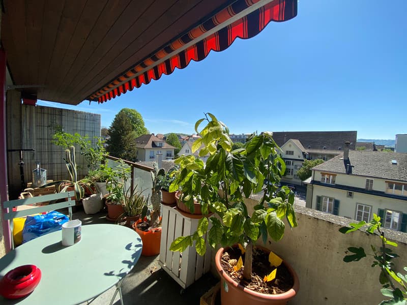 For rent ? Magnificent 4.5-room apartment on the top floor in the city center (9)