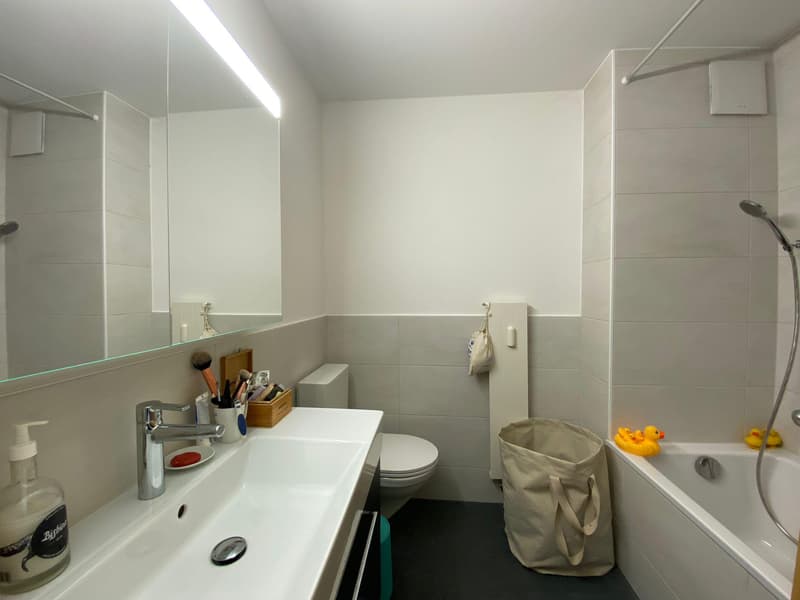 For rent ? Magnificent 4.5-room apartment on the top floor in the city center (8)