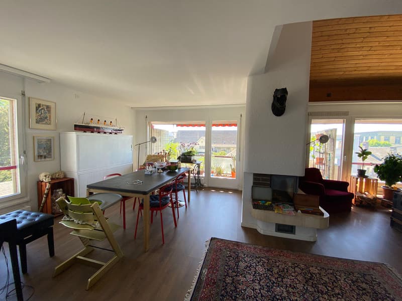 For rent ? Magnificent 4.5-room apartment on the top floor in the city center (2)