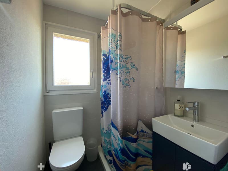 Zu vermieten ? Magnifique Apartment mit 4.5 Zimmern im letzten Stock im Stadtzentrum (7)