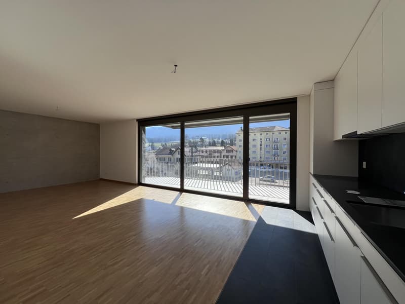 Appartement à louer de 4.5 pièces dans un immeuble construit récemment (1)