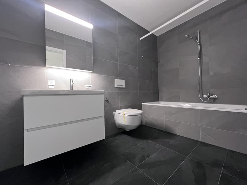 Appartement à louer de 4.5 pièces dans un immeuble construit récemment (6)