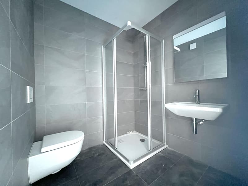 Appartement à louer de 4.5 pièces dans un immeuble construit récemment (5)