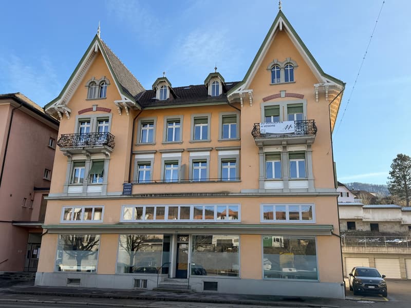 Charming 4.5-room apartment renovated with garage (13)