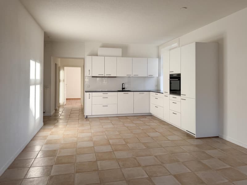 Charming 4.5-room apartment renovated with garage (1)