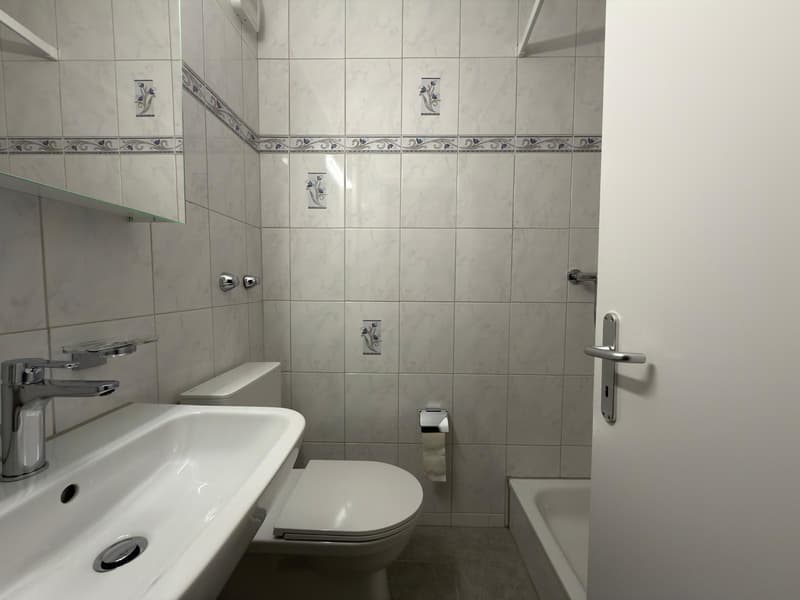 Apartment with 4.5 rooms and terrace (8)