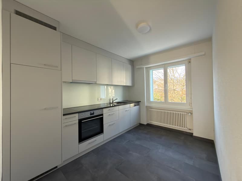 Apartment with 4.5 rooms and terrace (3)