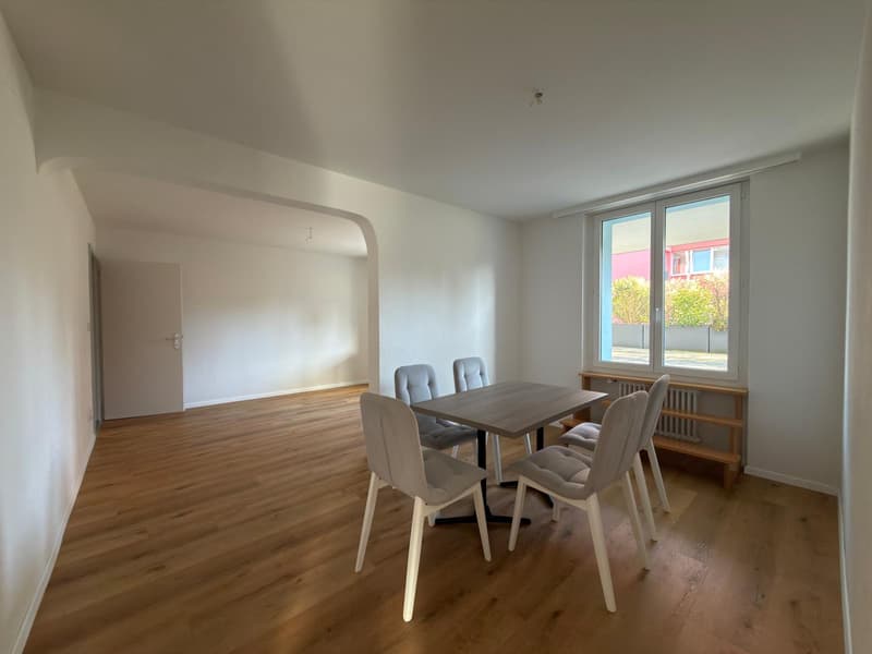 Apartment with 4.5 rooms and terrace (4)