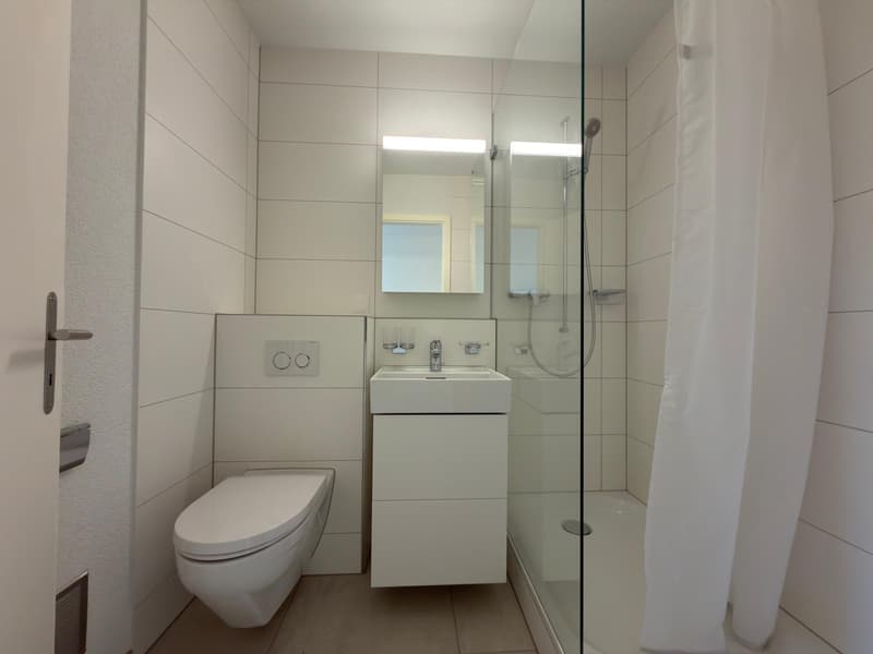 2.5-room apartment in the city center (5)