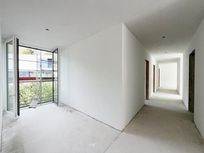 Spacieux 5.5 pièces avec terrasse exceptionnelle de 56 m² (11)