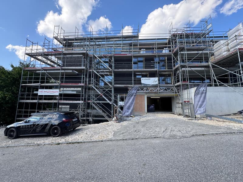Spacieux 5.5 pièces avec terrasse exceptionnelle de 56 m² (2)