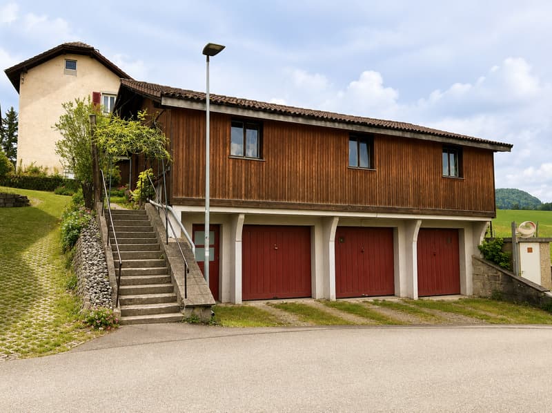 House with two apartments and multipurpose annex (4)
