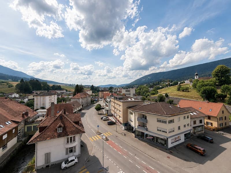 Charming 4-room apartment with 2 balconies (5)