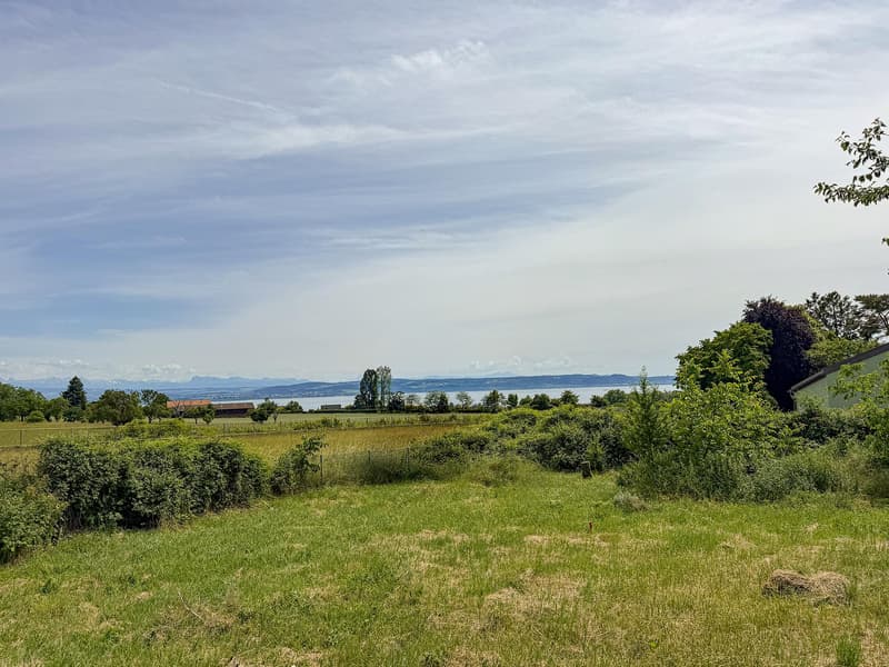 Vue depuis le jardin