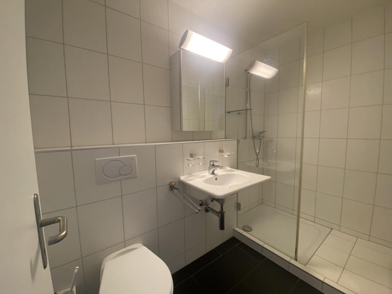 Magnifique duplex de 4.5 pièces à louer à Neuchâtel (4)