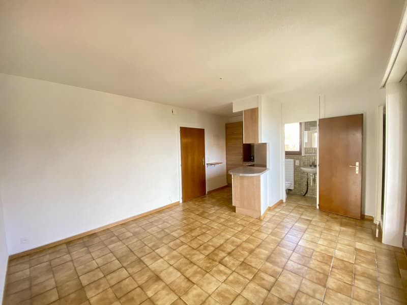 2024 - Appartement de 2 pièces à louer (1)